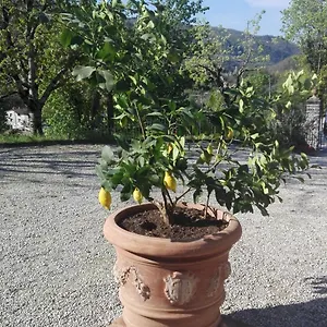 Casina Di Vicchio Italia